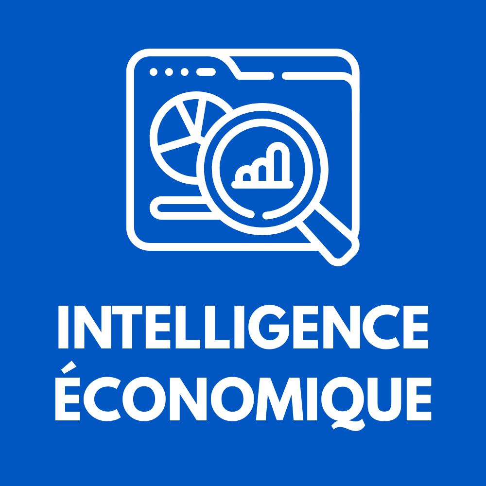 représentation intelligence économique